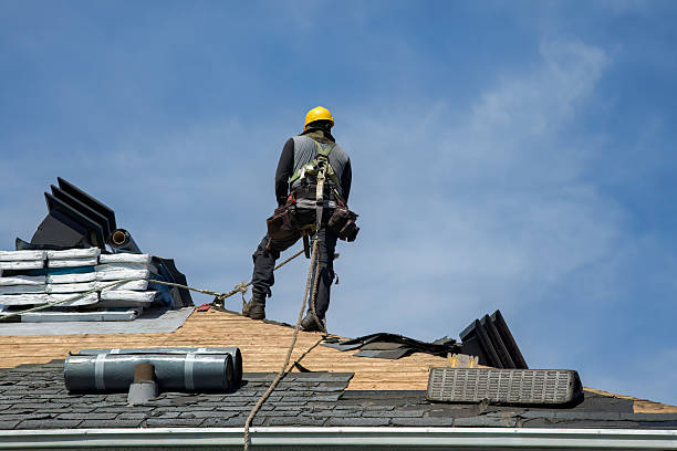Professional Roof Installation technician working in Elkton, MN